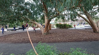 Kew Gardens: Newly Opened Childrens Playground